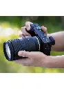 be5c1bcb-8e26-4e98-987a-e696ef5e2daf.webp